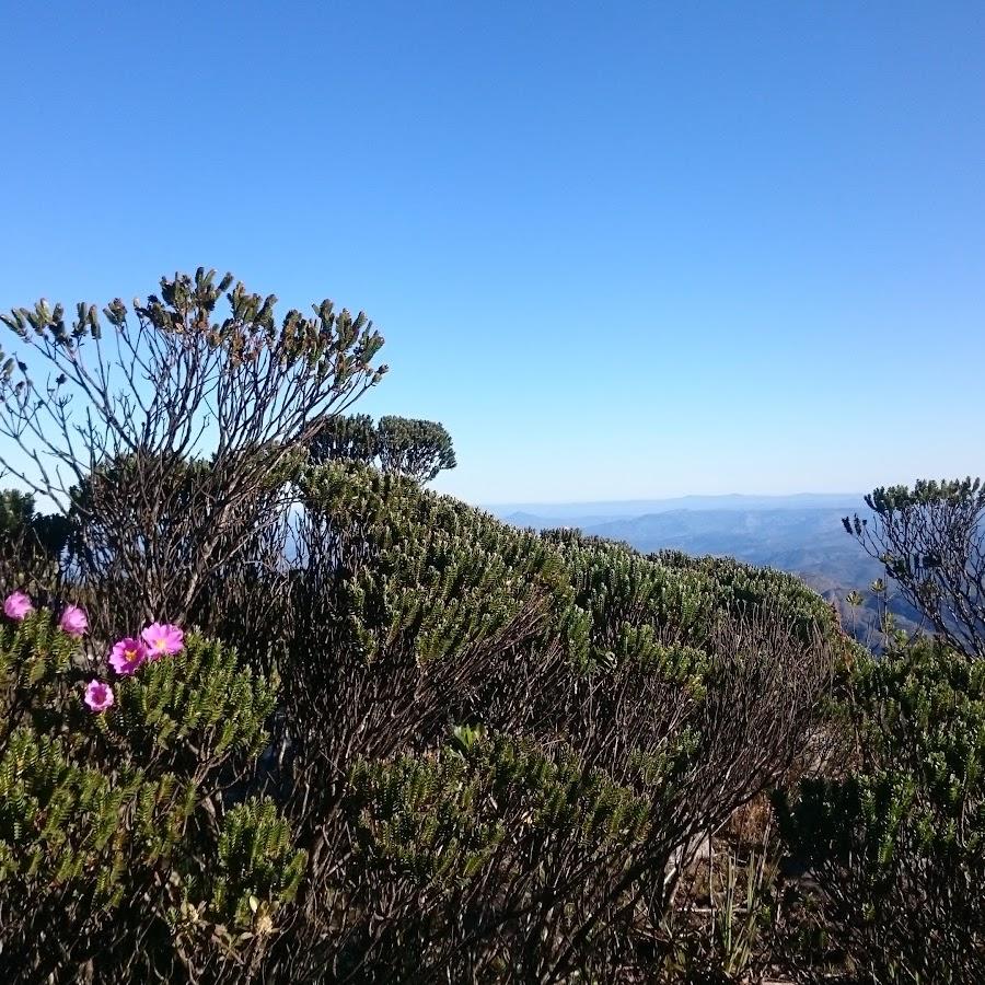 Acampamento Selvagem - Vista do Pico do Itambé