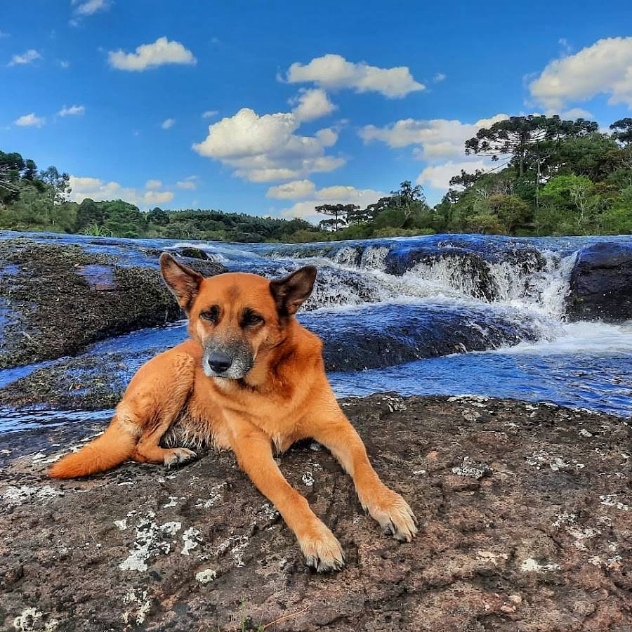 Camping - Aka Fishing Lodge