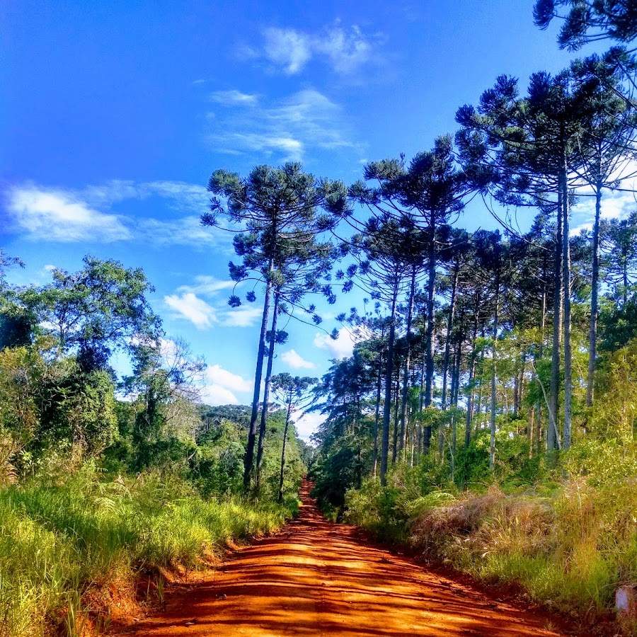 Aldeia abandonada na Floresta Nacional Capão Bonito