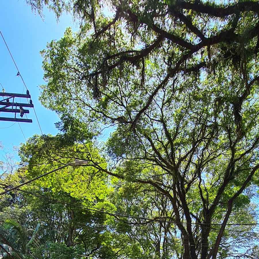 Alto da boa Vista (Lado oeste, por do sol)