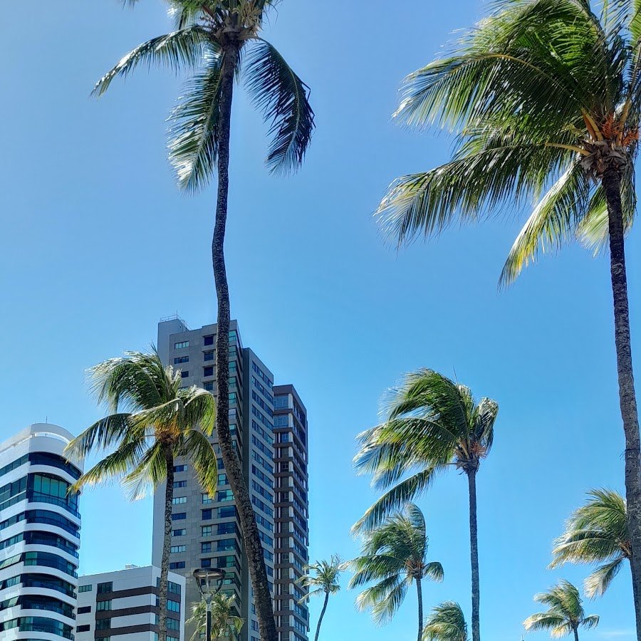 Centro de Apoio ao Turista Alto do Moura
