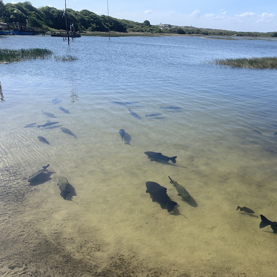 Lagoa dos Tambaquis – Estância
