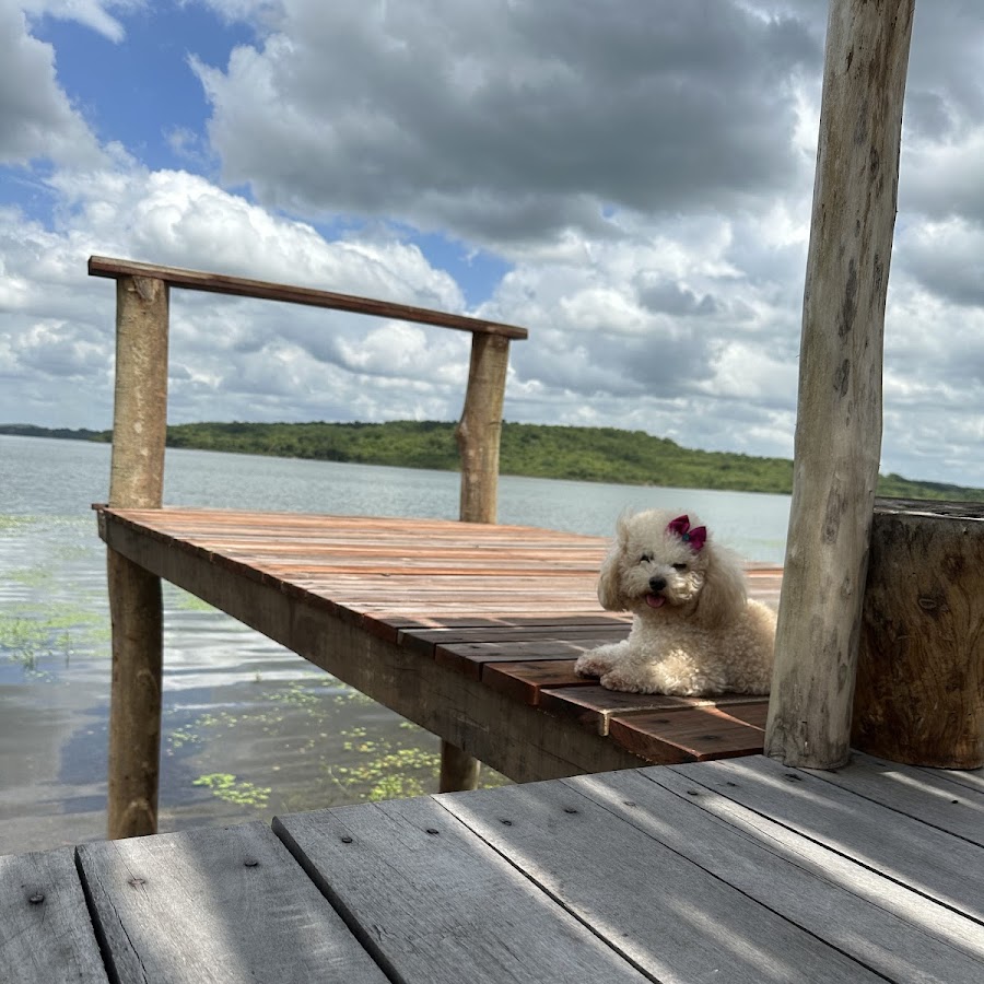 Camping Motorhome Piripiri