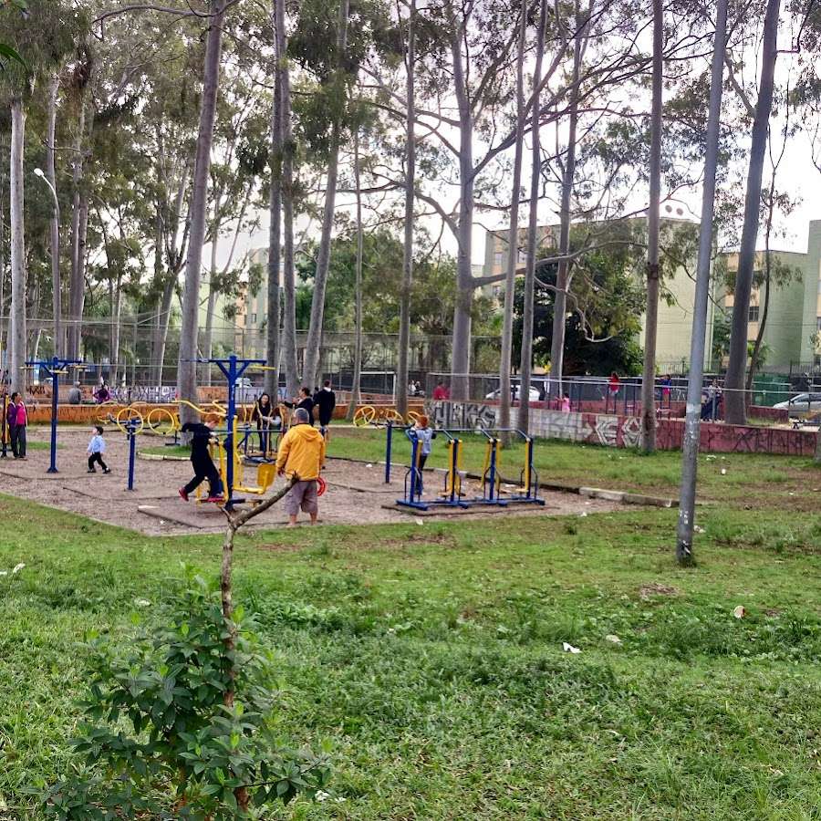 atrás das árvores.