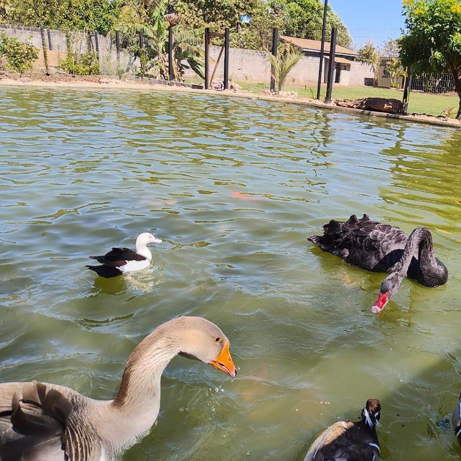 Camping - Aura Eco Parque