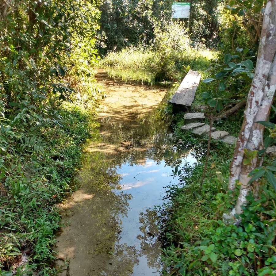 Barranca do rio vermelho