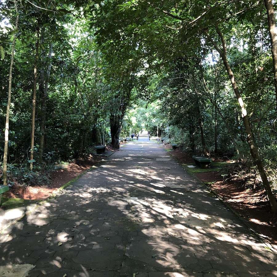 Bosque Jhonn Kennedy