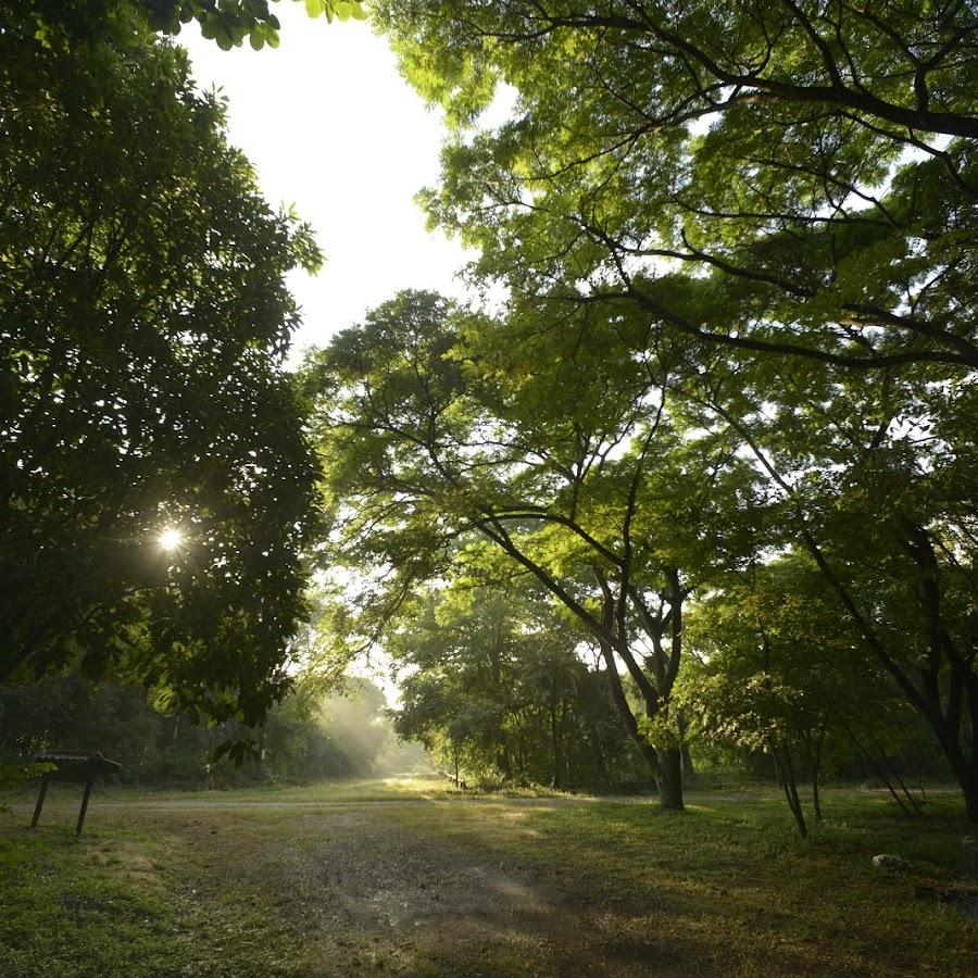 Bosque Protector Cerro Nlanco