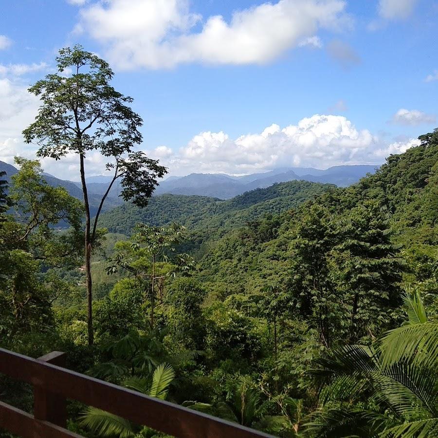 Camping - Braço Esquerdo park