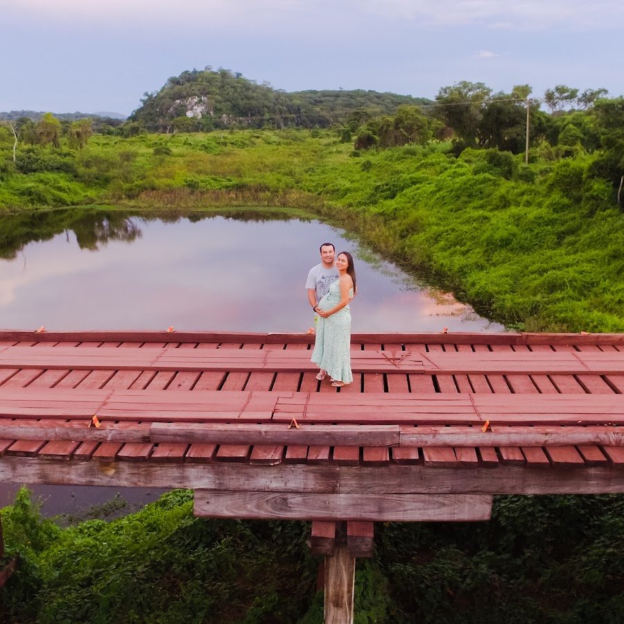 Busca de animais no Pantanal