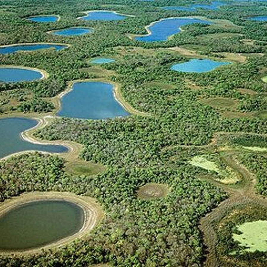 Bush Camp lado leste do Pantanal