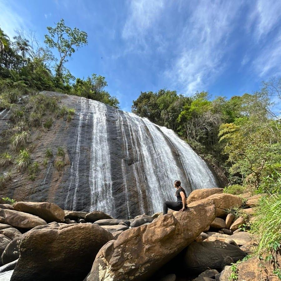 Cachoeira do Palito