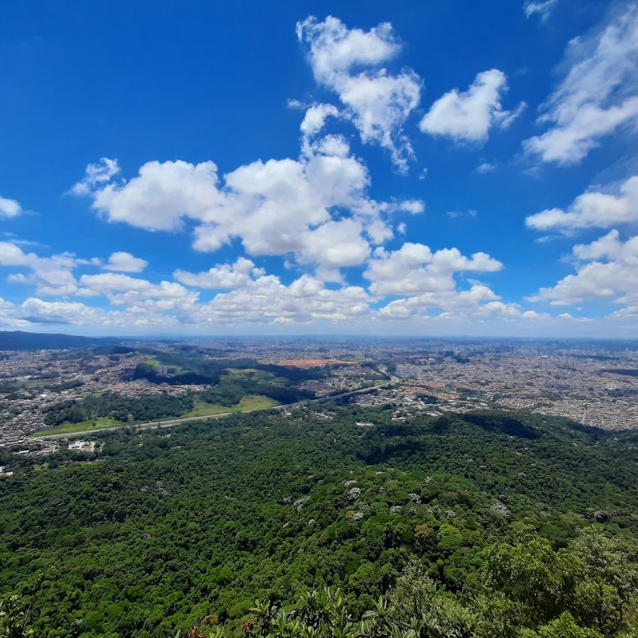 caminhada na selva até ponto de vista