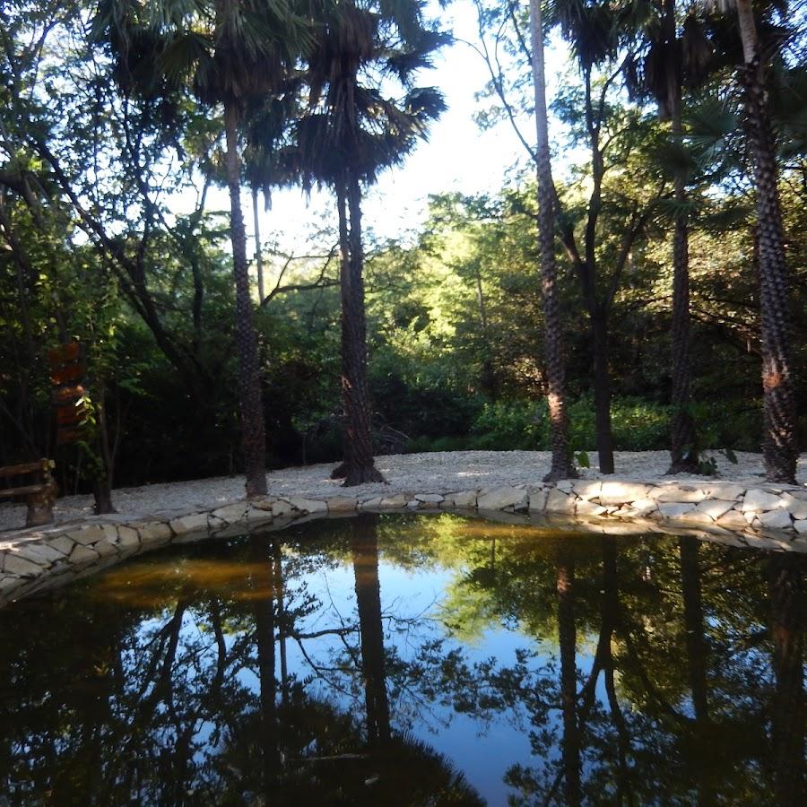 Camping - camp limoeiro