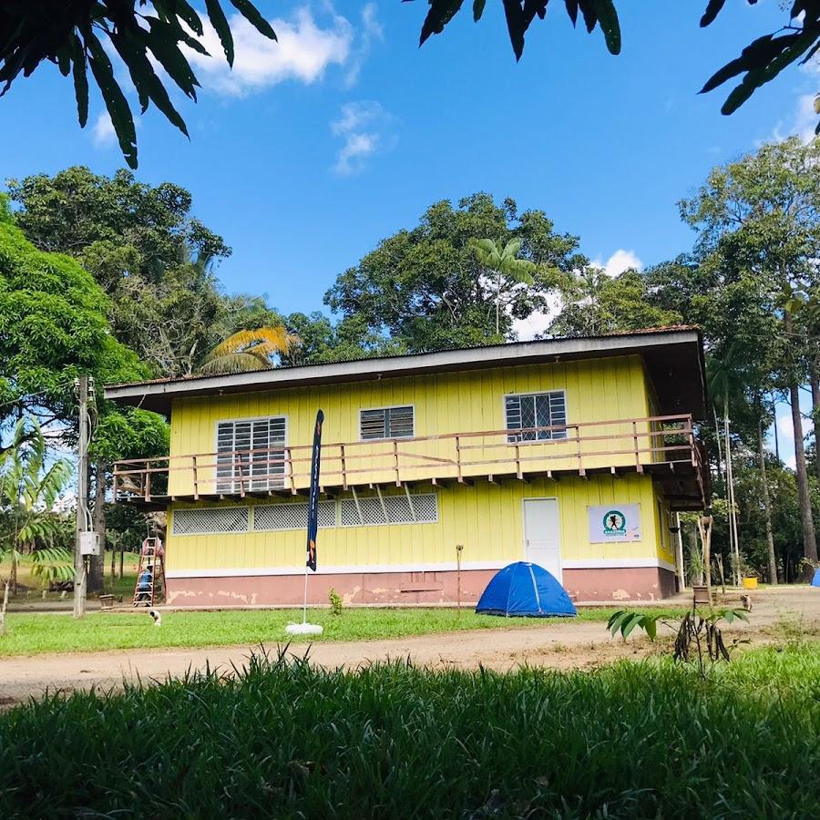 Camping - Amazon Park