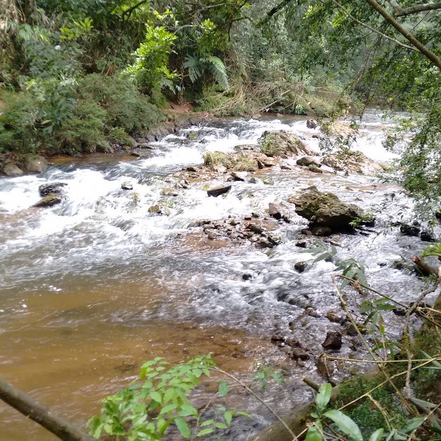 Camping Berimbalada (Mestre Gatos)