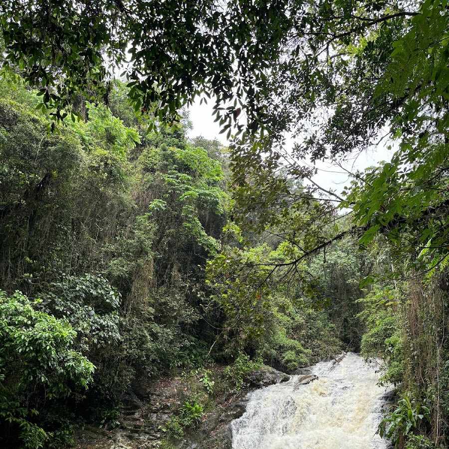 Camping Cachoeira do Jajá