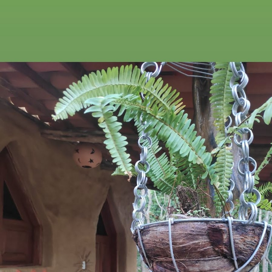 Camping Espaço Roots