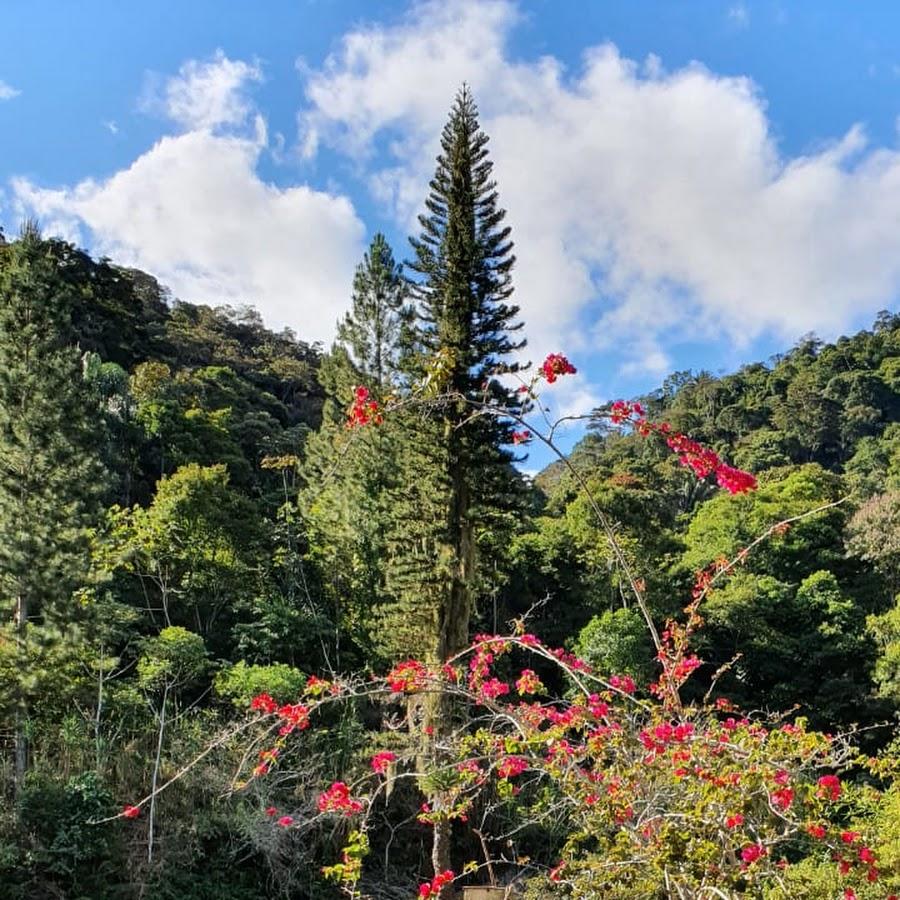 Camping Fonte da Castália
