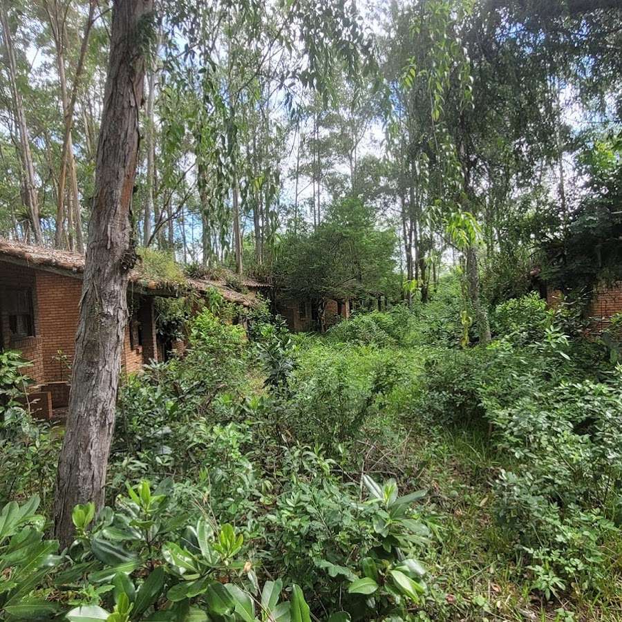 Camping Lago Dourado