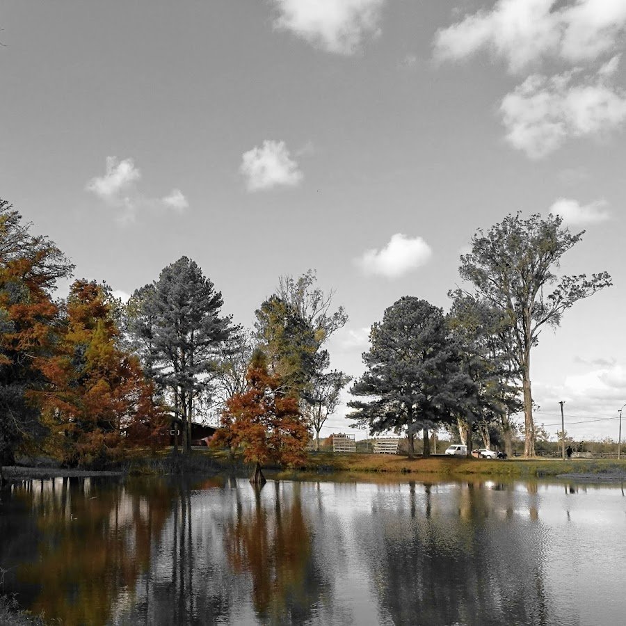 Camping Laguna de Las Lavanderas