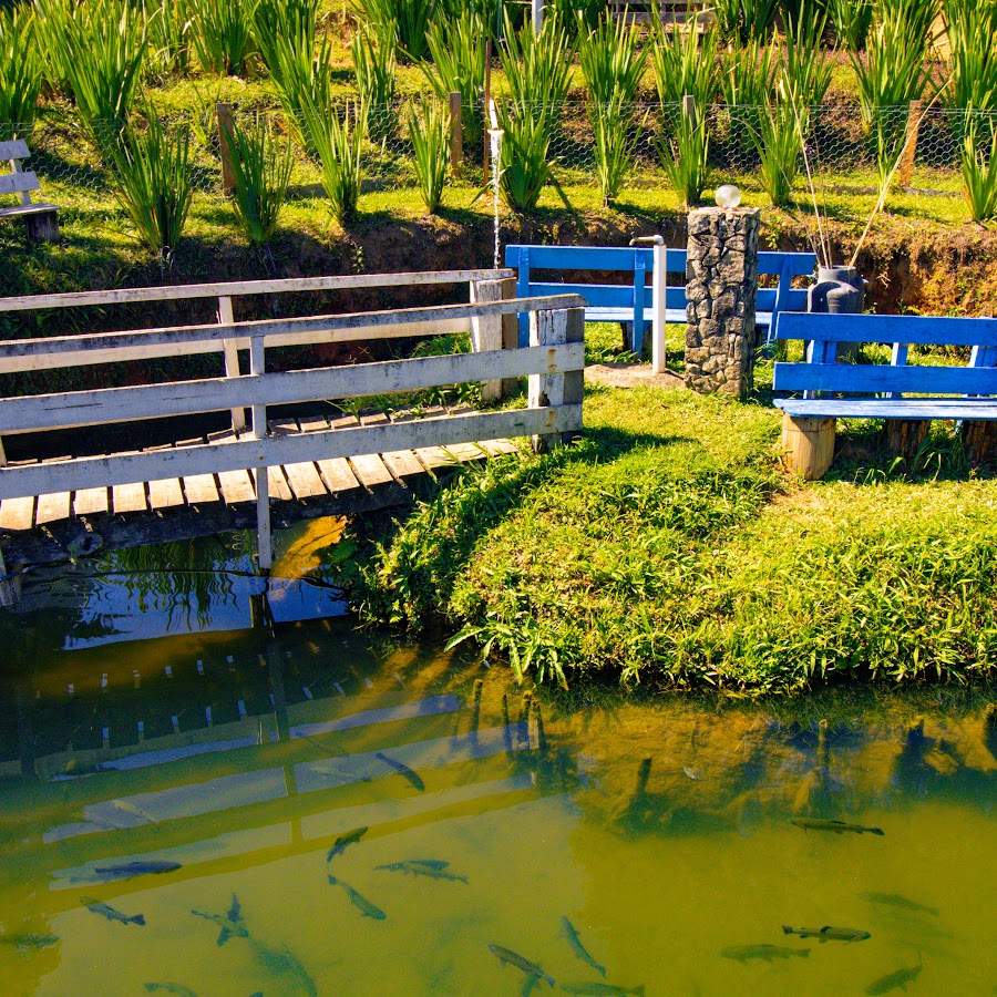 Camping Monte Verde.