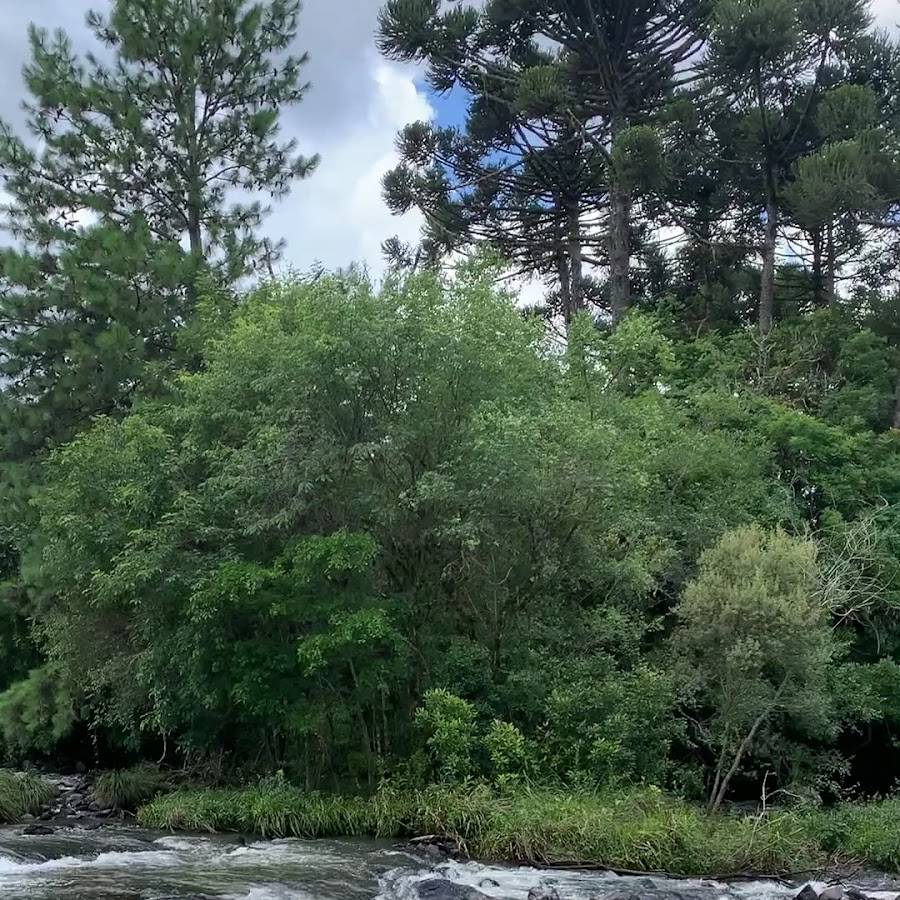 Camping Parque Casa Rosada