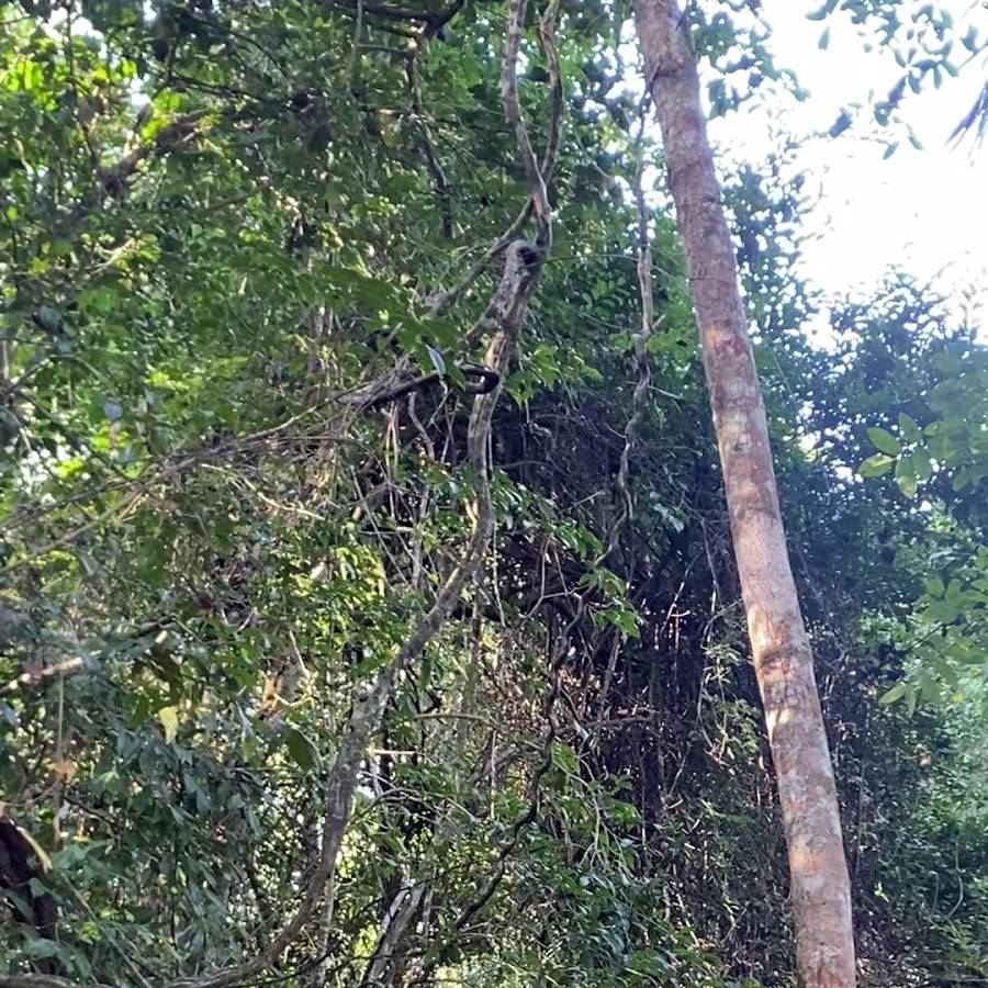 Camping Parque Reserva Goytacazes