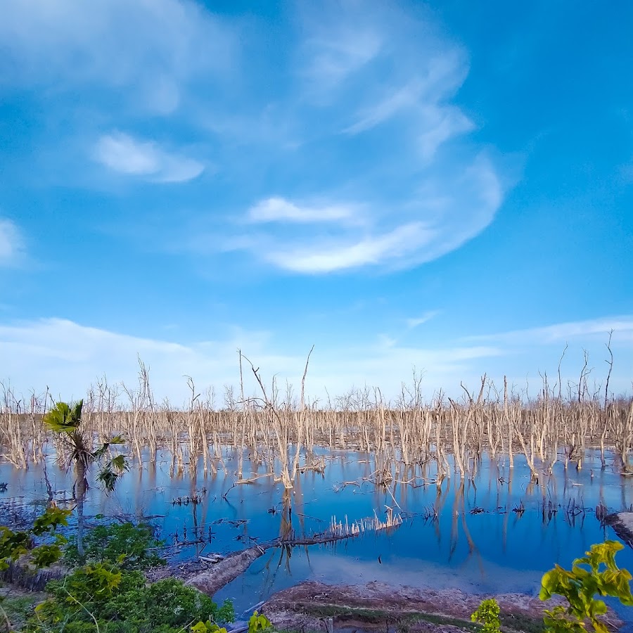 Camping Sitio Cordel