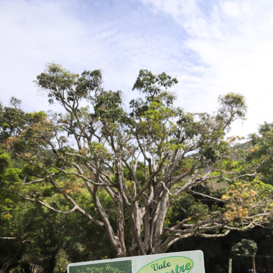 Camping Vale Silvestre