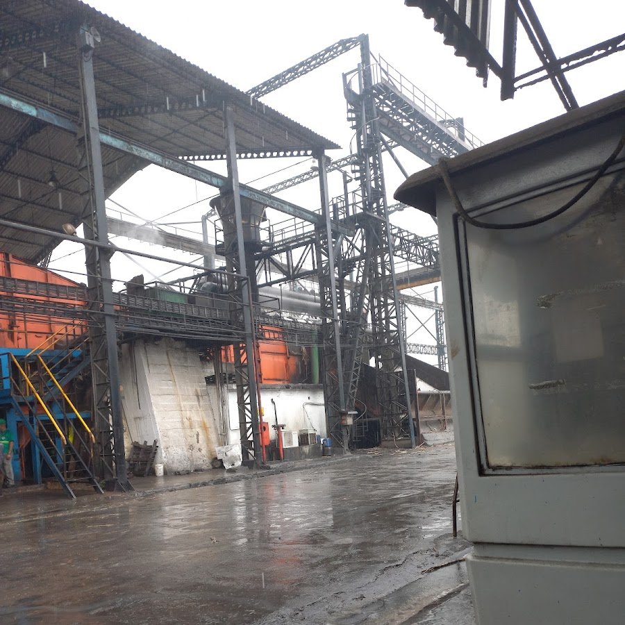 Campo de cana-de-açúcar