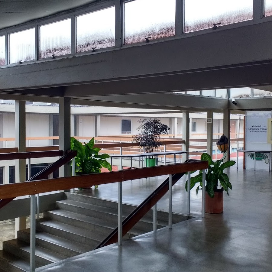 CEPLAC - passeio guiado