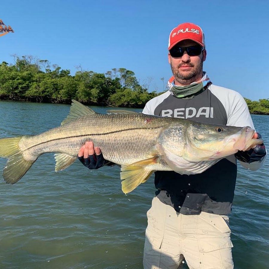 Cobertura dos Barcos Pesqueiros