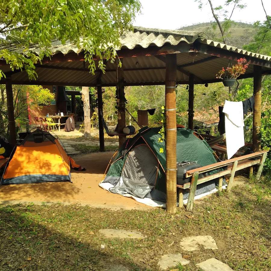 Cogumelos Camping Rock