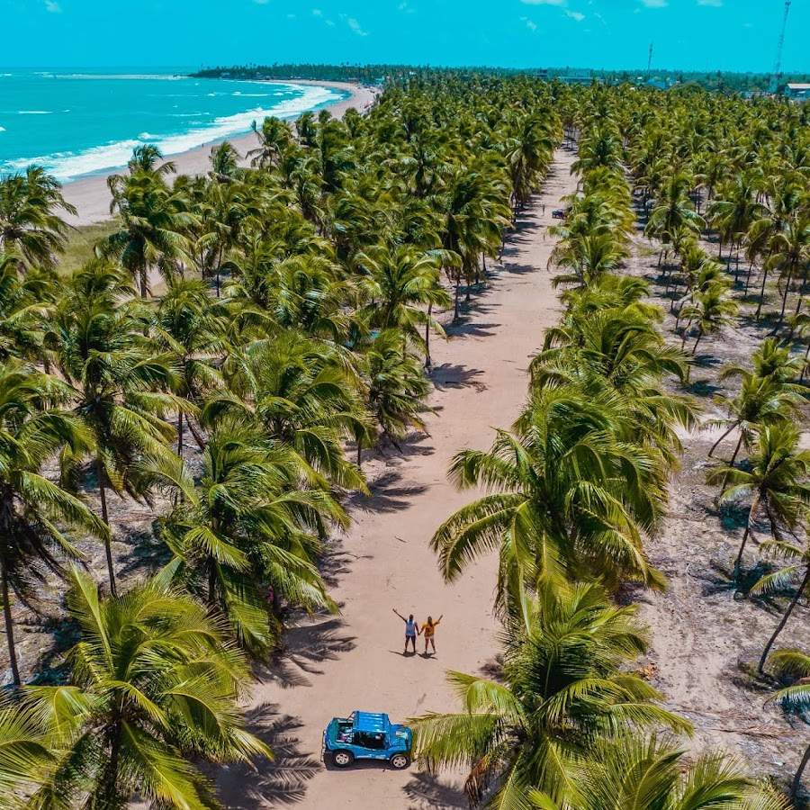 Coqueiral da Praia de Maracaípe