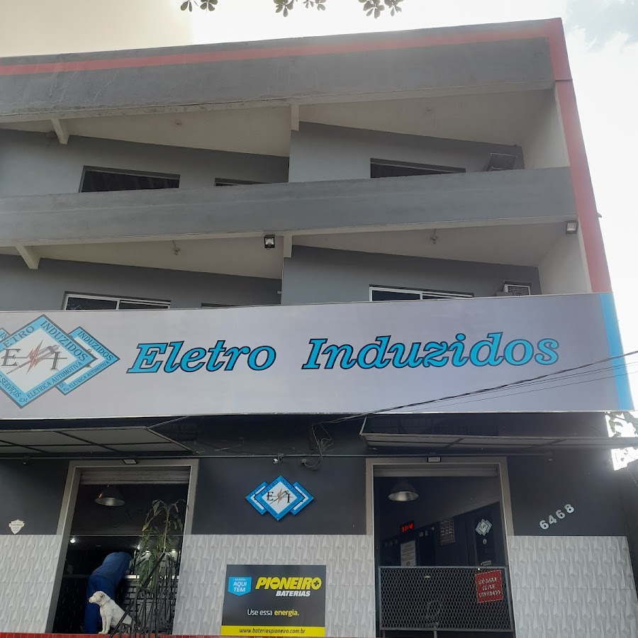 Eletro Induzidos