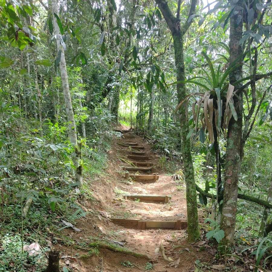 Entrada da trilha do bosque do visconde