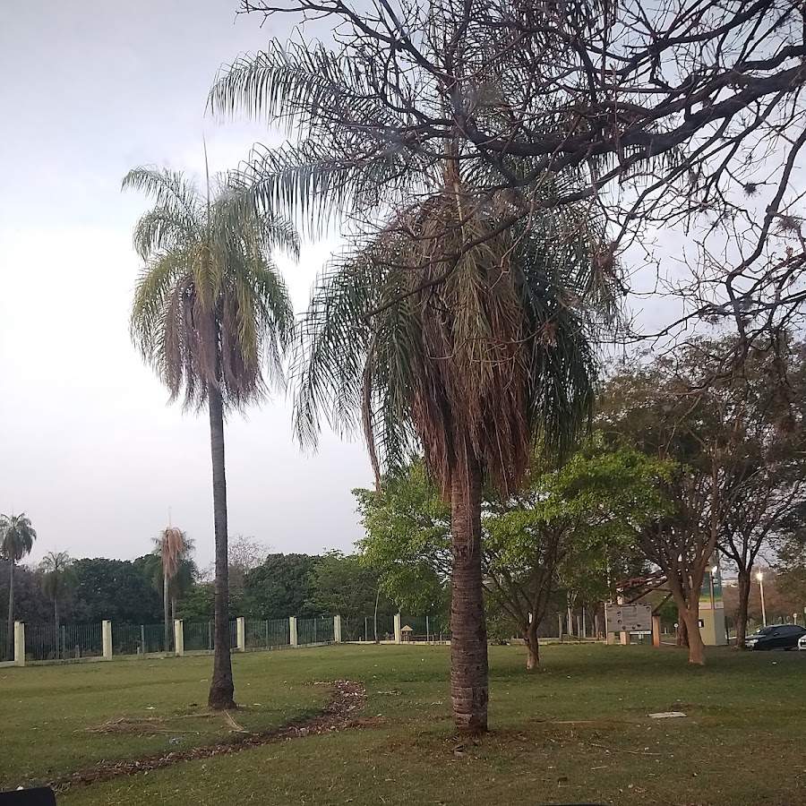 Estacionamento Nações Indígenas