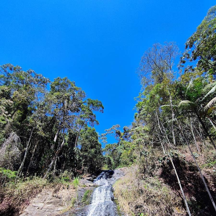 Floresta Nacional de Passa Quatro