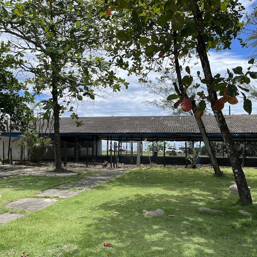 Camping - Forest Club