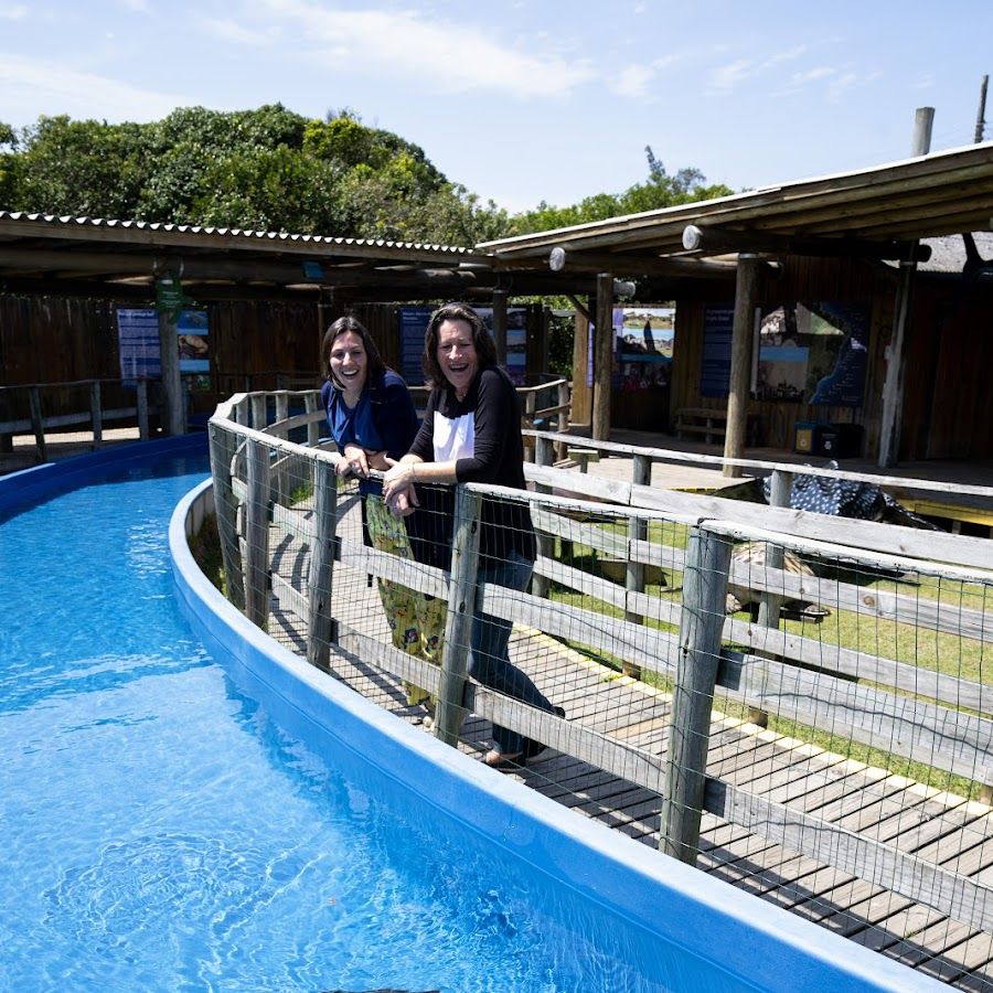 Fundação Projeto TAMAR