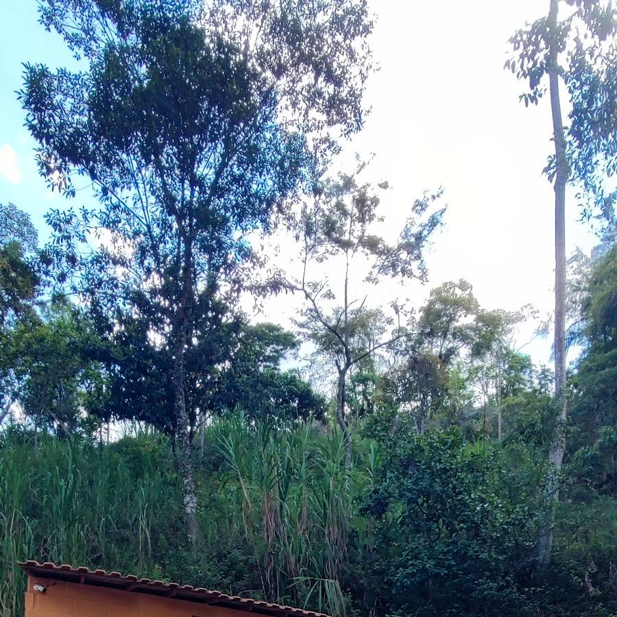 Guarita Cachoeiras de Patrimônio da Penha