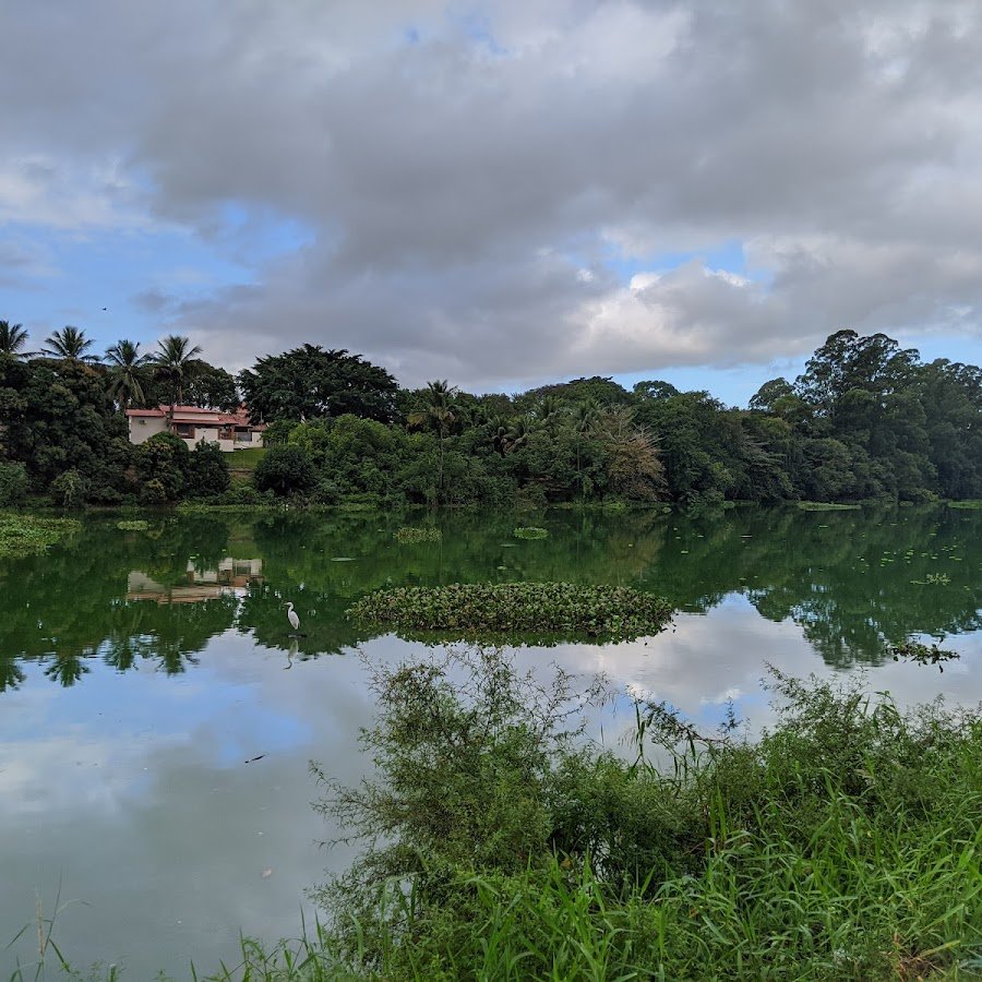 Lagoa do Meio