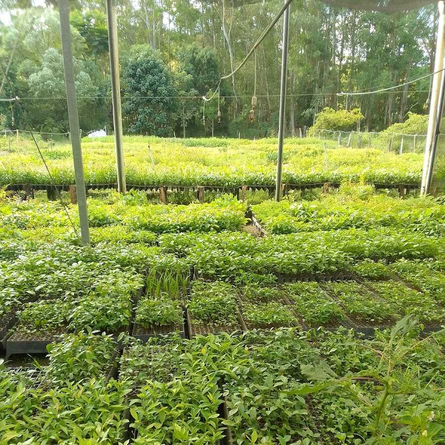 Lugar agradável atrás de algumas árvores