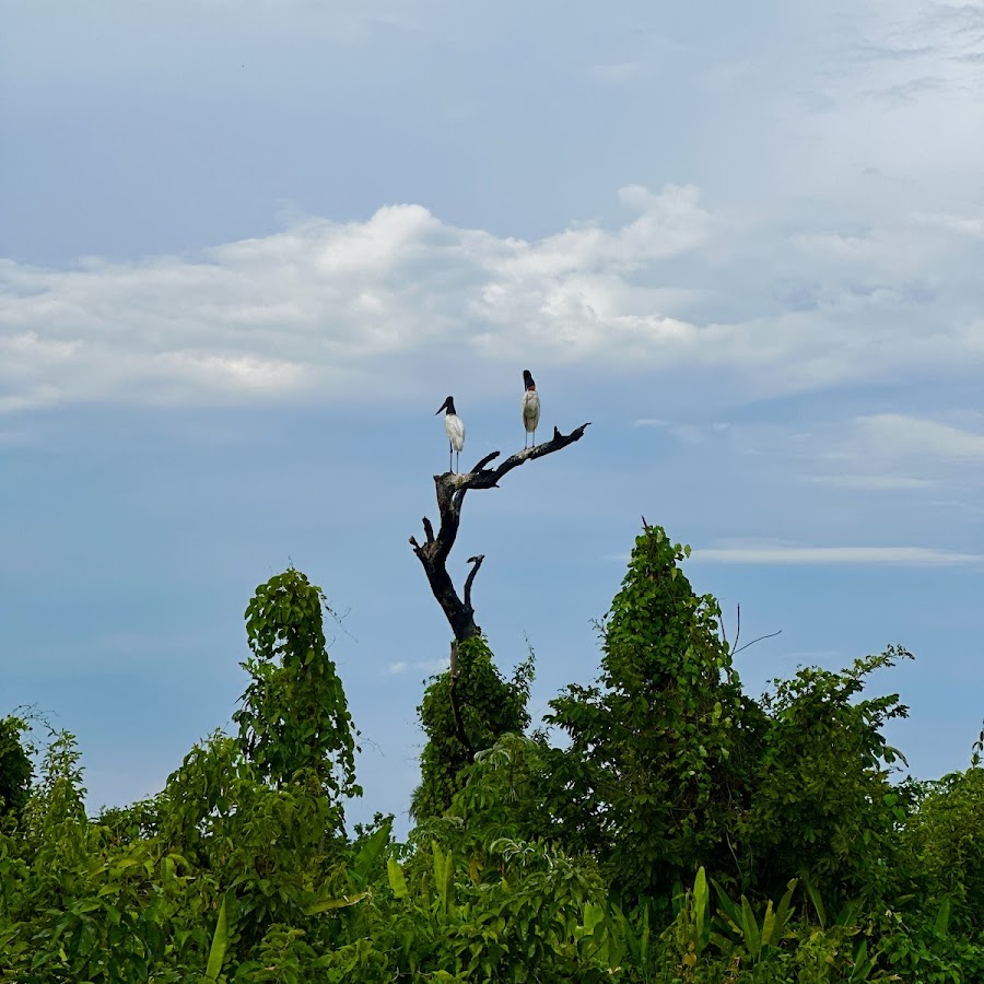 Camping - Miranda Eco Fish