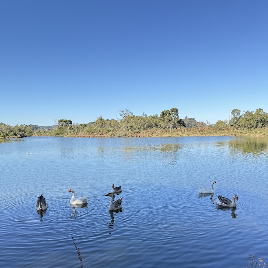 Camping - Morada do Vento