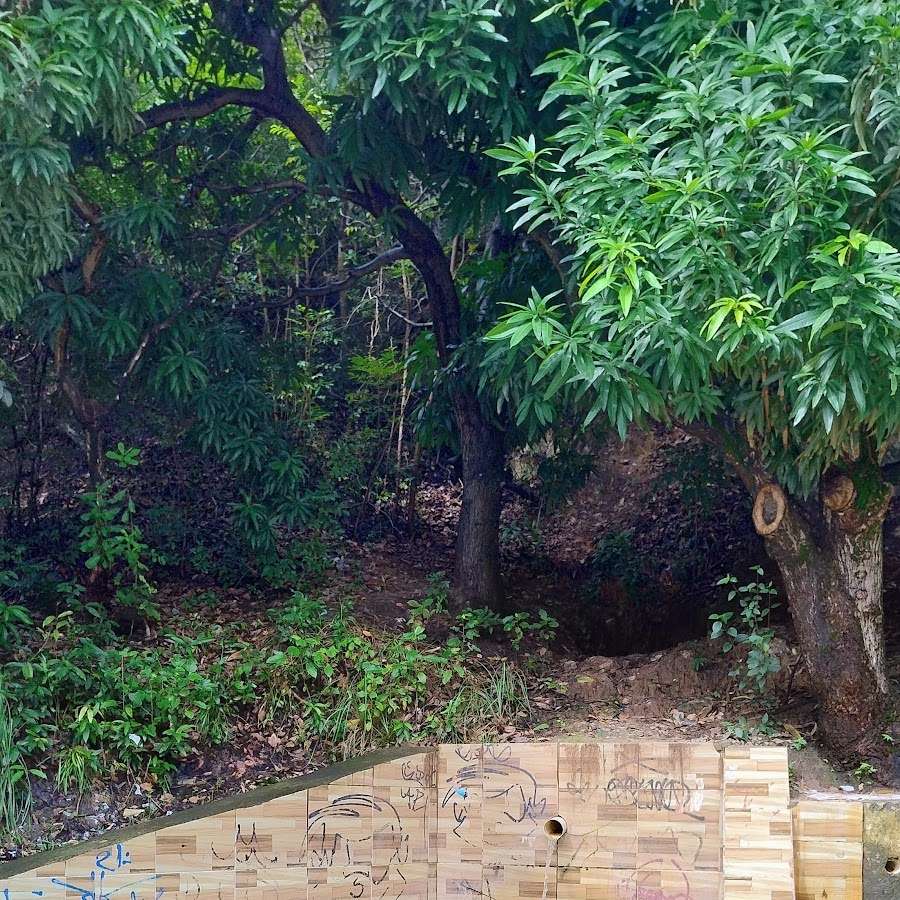 Mirante de Morro Branco