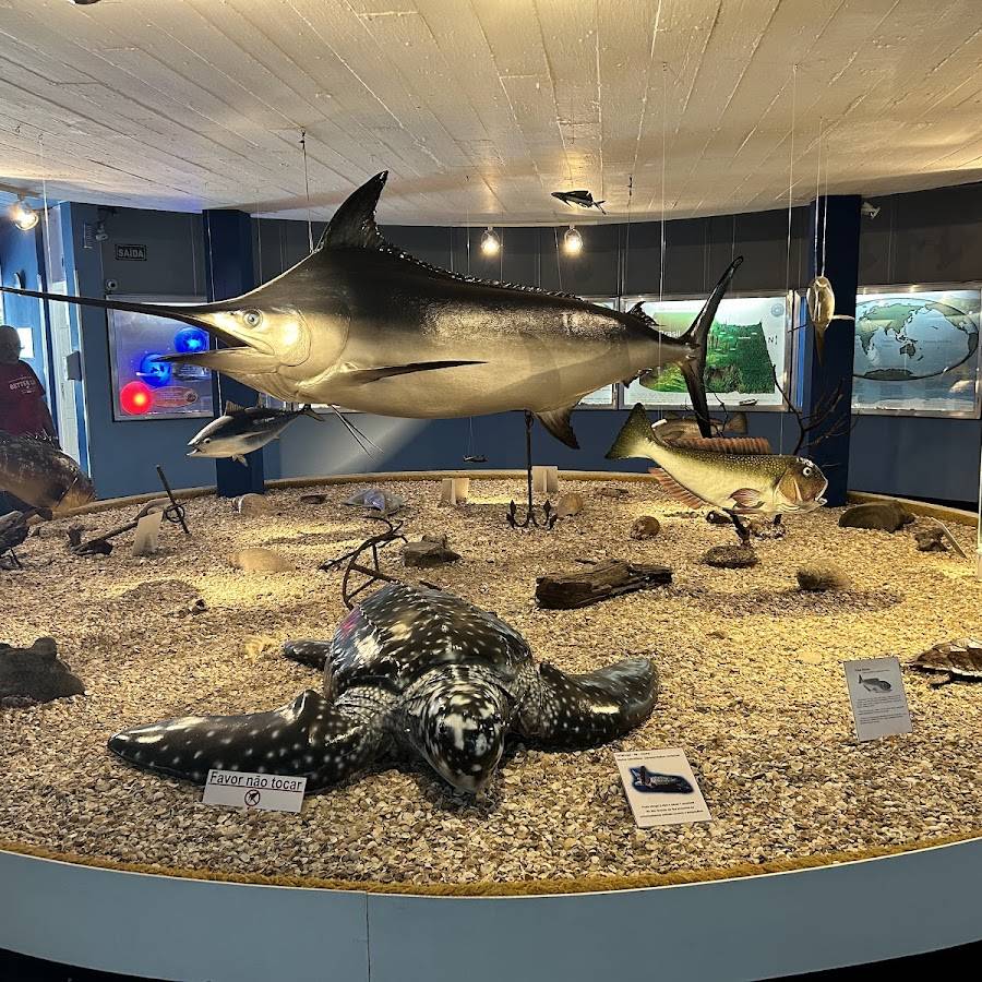 Museu Oceanográfico