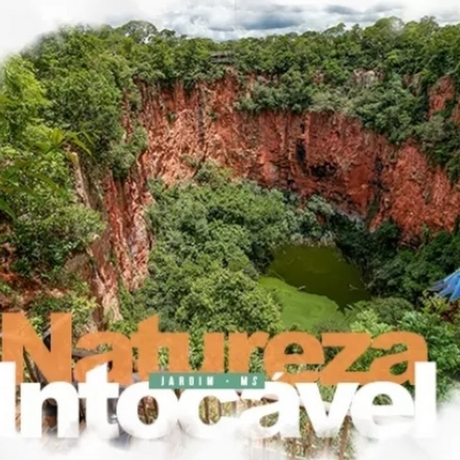 Na frente do buraco araras portão