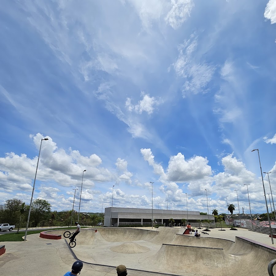 Ninho skate parque